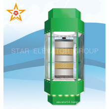 China Safe and Stable Panoramic Glass Lift Elevator (VVVF Drive)